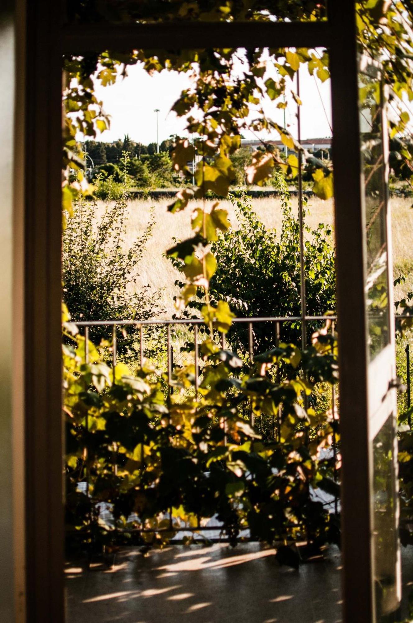 Buonocore Guesthouse Bergamo Exteriör bild